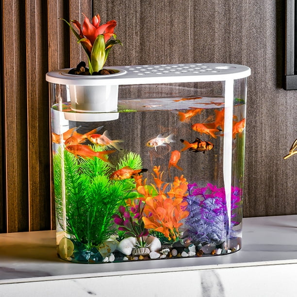 Peggybuy Plastic Clear Table Fish Bowl Shatterproof Hydroponics for Home  Office Decor
