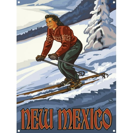 New Mexico Downhill Skier Girl Metal Art Print by Paul A. Lanquist (9
