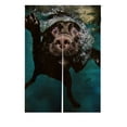 thumbnail image 1 of Cortina de entrada ABPHQTO para perro labrador Noren 85x120 cm, 1 of 1