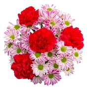 Valentine’s Day Stripy Pompom Flower Bouquet (Fresh Cut Flowers)