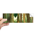 thumbnail image 1 of Miaoji Painting Cat Forests Mushroom Rectangle Bumper Sticker Notebook Window Decal, 1 of 1