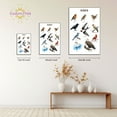 thumbnail image 4 of Eastern Print Educational Birds Charts Poster, Toddler Activity Toys Decor, Kids Study Material Wall Art for Nursery, Classroom, Bedroom, Pre School Kids Learning Wall Poster, UNFRAMED 16x24, 4 of 4