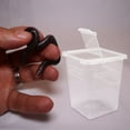 thumbnail image 4 of OULII 8Pcs Ventilative Snake Cage Transparent PP Breeding Tank Indoor Breeding, 4 of 8