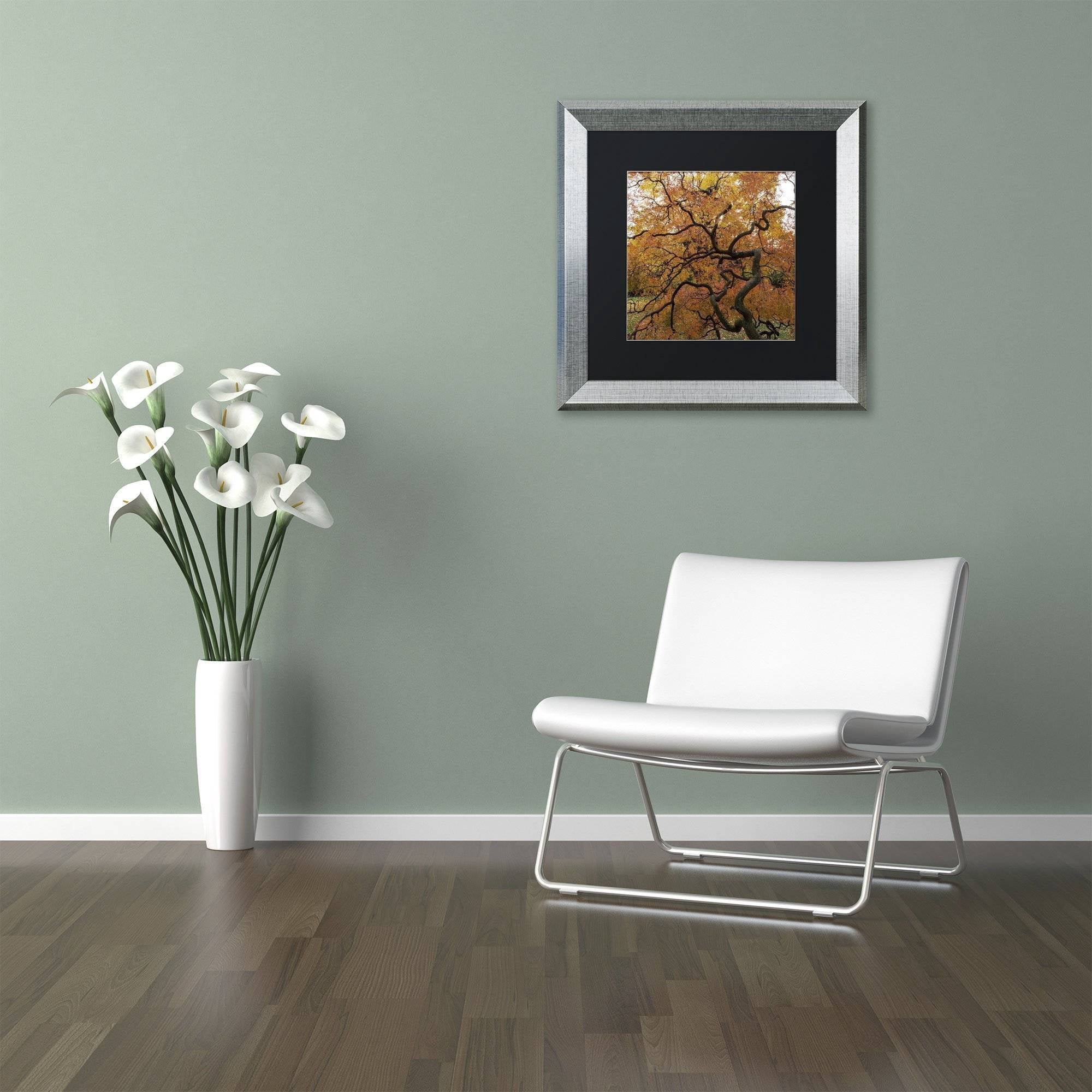 Trademark Fine Art "October Japanese Maple" Canvas Art by Kurt Shaffer, Black Matte, Silver Frame