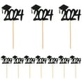 thumbnail image 1 of 20pcs Graduation Party Cupcake Picks 2024 Senior Party Cake Toppers Graduation Party Favors, 1 of 9