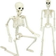 thumbnail image 3 of Modelo de anatomía corporal de Halloween, esqueleto de tamaño completo, hueso de mano, decoraciones para fiesta en casa, 3 of 9