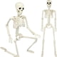 thumbnail image 5 of Calavera Aterradora Juntas Móviles Halloween para Patio Jardín Casa Encantada, 5 of 9