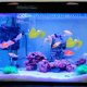 thumbnail image 4 of WASHWEPE 2Ud Acuario Hoja Artificial Para Betta Con Ventosas De Descanso Y, 4 of 6