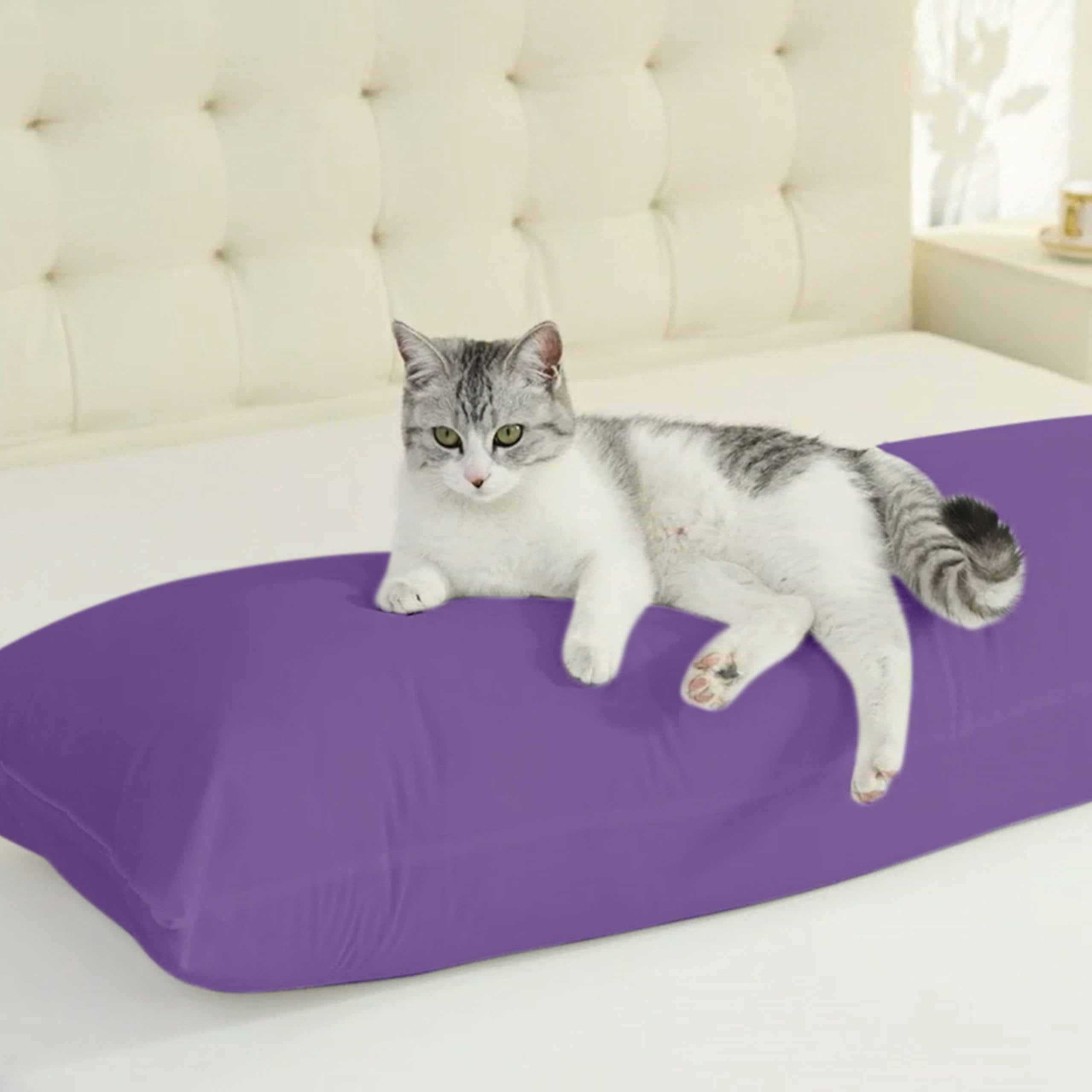 Cotton Body Pillow Insert Cooling Breathable Full Body Pillow for Side Sleepers Soft Long Bed Pillow for Adults 20 x 54 Inch Black