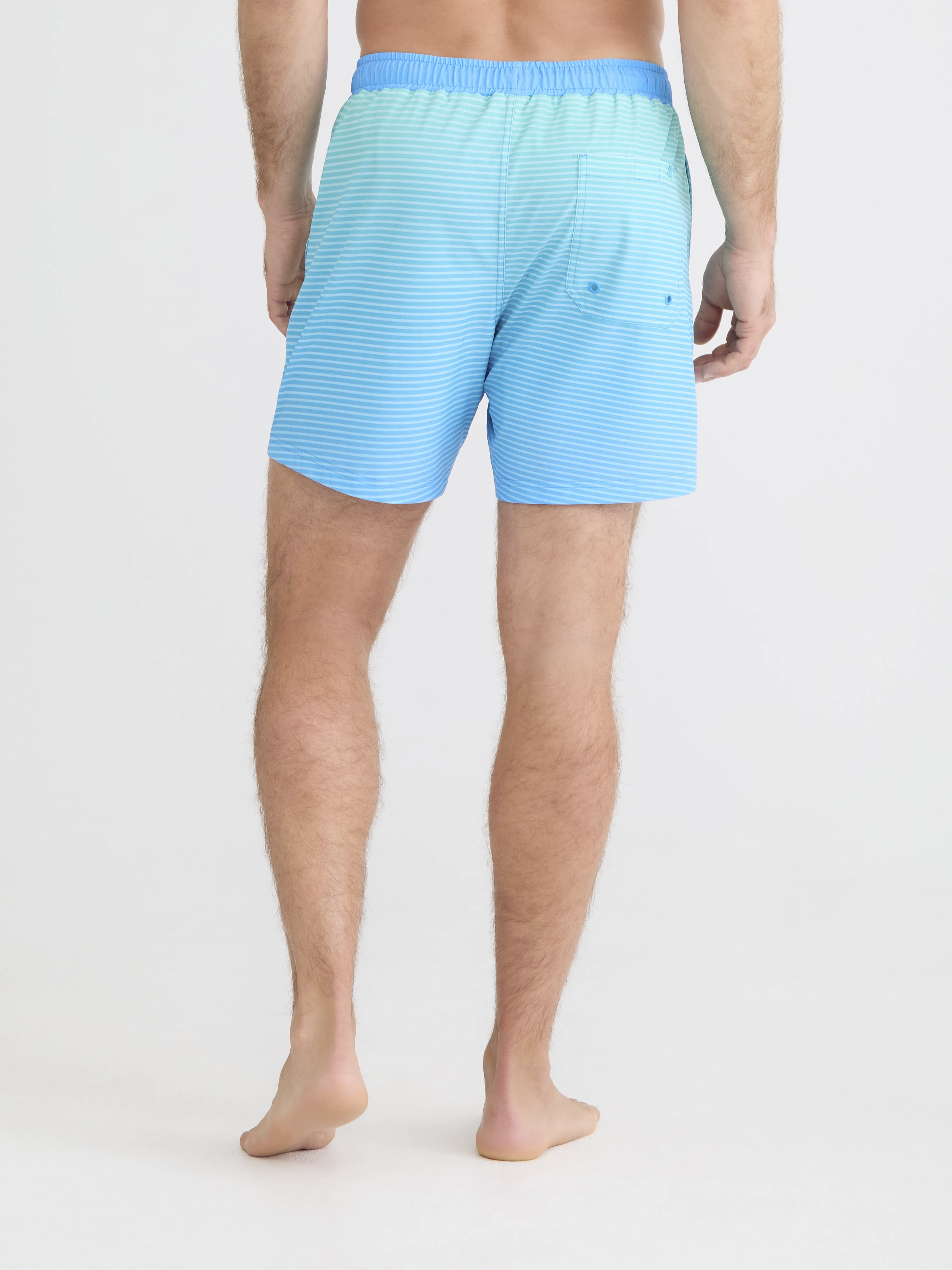 Birdie Bound Men's & Big Men's Swim Trunks with 2-In-1 Liner, Sizes S-3XL
