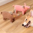 thumbnail image 2 of Chewable Pet Toy Vocalization Relieve Depression Stimulate Gums Reduce  Plaque Chewable Pet Toy, 2 of 8
