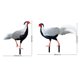 thumbnail image 2 of Pheasant Garden Stake Yard Decoration Acrylic Animal Stakes 8Pcs, 2 of 5