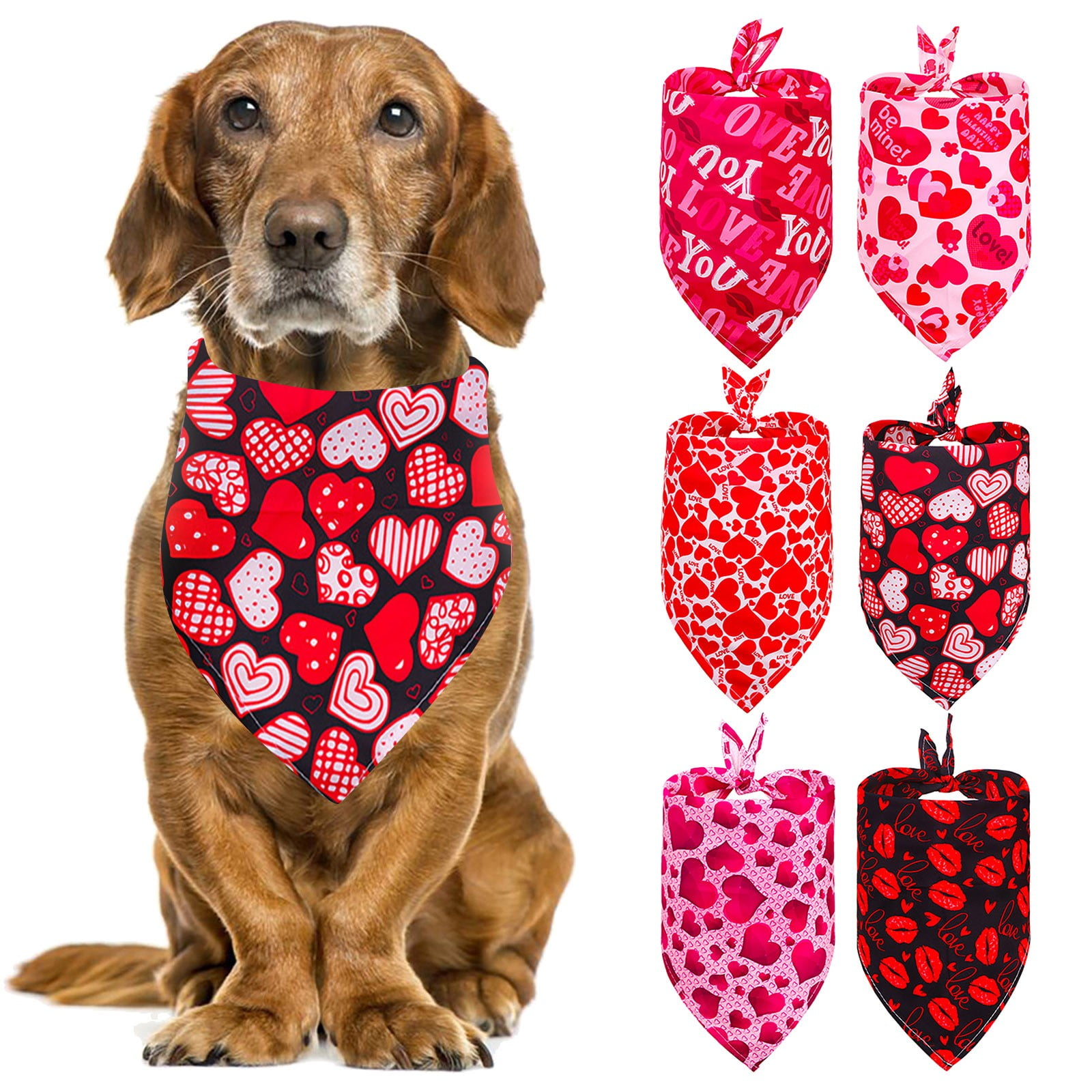 Flower Dog Bandana Valentines Day Dog Bandana- Self Love Valentine Dog Shirt Be Kind Dog Bandana Mental Health Dog Dog Lover