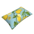 thumbnail image 3 of Fotbe Lemon Pillow Cases - Envelope Closure - Luxury, Extra Soft, Cooling Pillow Covers - Wrinkle, Fade, Stain Resistant-16"x24", 3 of 9
