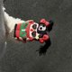 thumbnail image 3 of For iPhone 15 Silicone Case Cute Northeast Girl Design Shockproof Phone Back Cover, 3 of 5