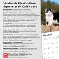 thumbnail image 6 of Tuxedo Cats | 2026 12x24" (Hanging) Wall Calendar | Plastic-Free | BrownTrout, 6 of 9