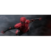 Spider-Man: Far From Home (DVD)