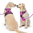 thumbnail image 2 of Arnés para perros NESTROAD, chaleco Oxford ajustable sin tirones, tamaño grande, 2 of 8