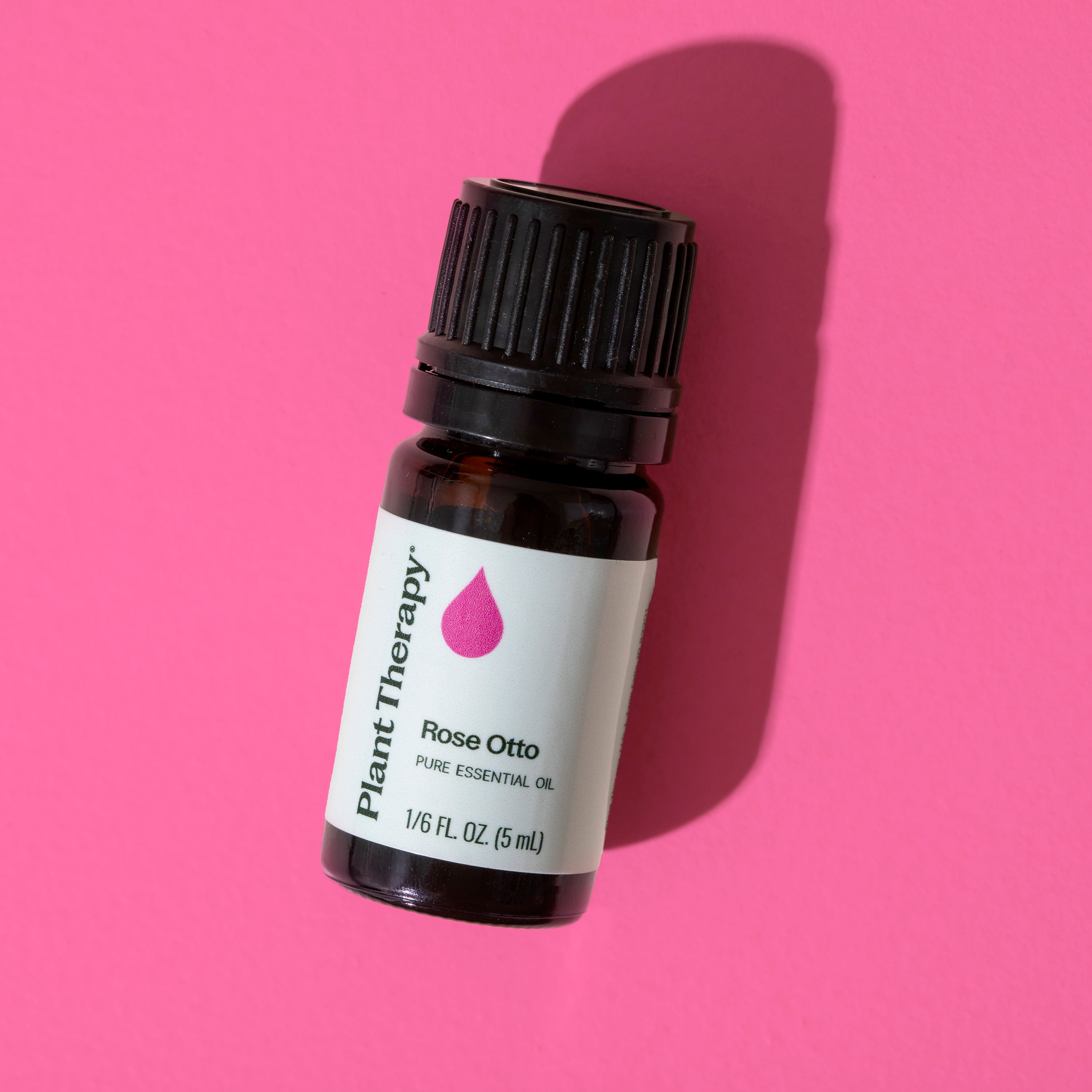 Plant Therapy Rose Otto Essential Oil 5 mL (1/6 oz) 100% Pure, Undiluted, Natural Aromatherapy
