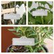 thumbnail image 3 of unbranded 8Ud Metálicas De Plantas Para Jardín Exterior Fácil De Y Reusar, 3 of 8
