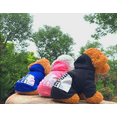 thumbnail image 6 of Trendy Dog Hoodies Soft and Warm Designer Dogs Sweaters All Breeds XS-9XL, 6 of 10