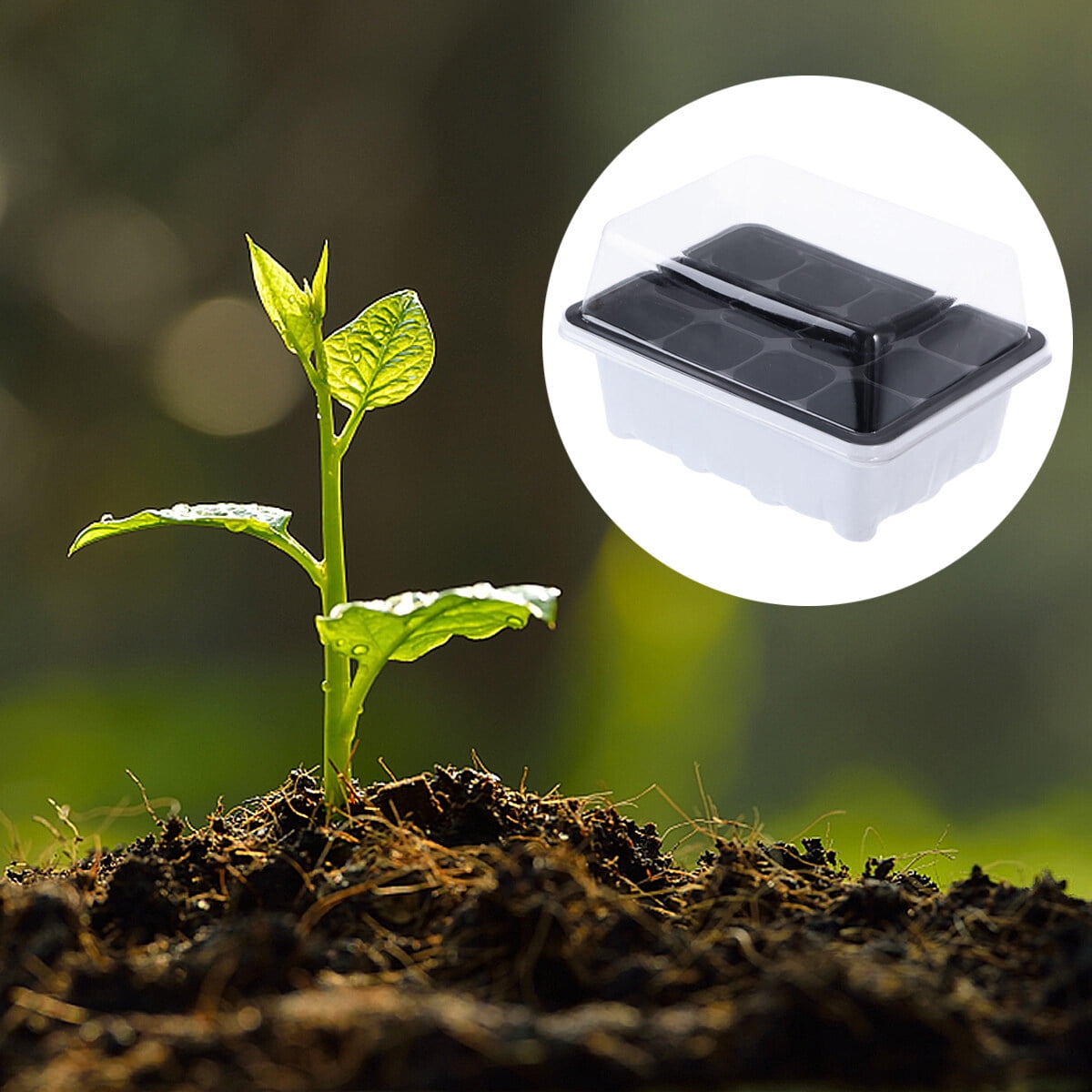 10Pack Seed Starter Tray Germination Kit, Seed Starter Kit with Adjustable Humidity Dome, Plant Growing Kit 7.36" x 5.7" (12-Cell per Tray), Black