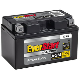 EverStart Batteries in Shop by Brand 