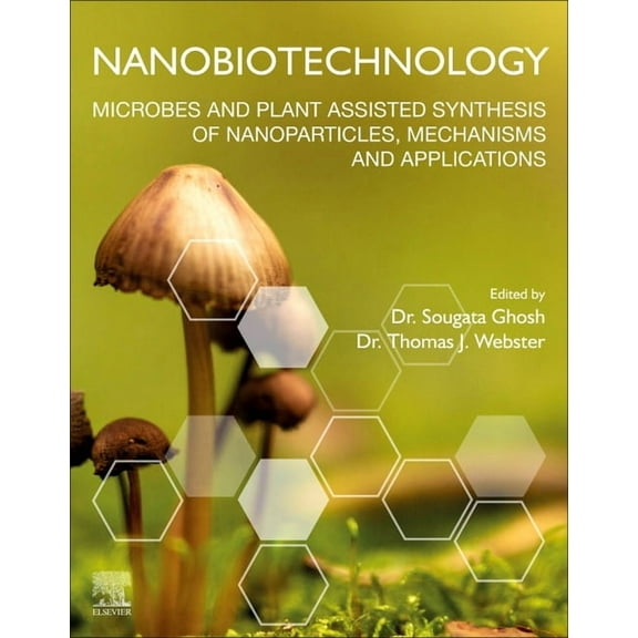 Nanobiotechnology: Microbes and Plant Assisted Synthesis of Nanoparticles, Mechanisms and Applications, (Paperback)