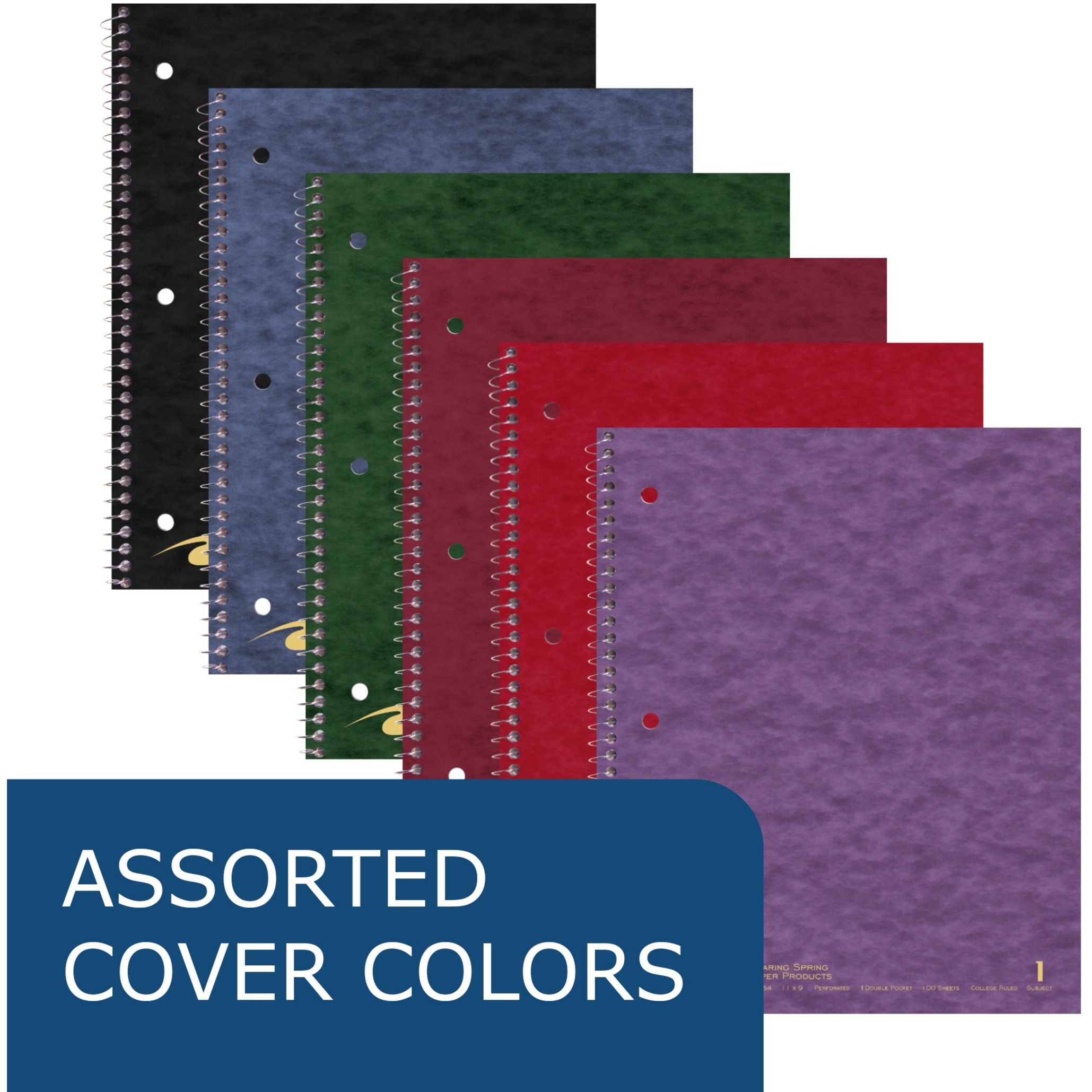 Roaring Spring College Ruled One Subject Spiral Notebook - 100 Sheets - 200 Pages - Printed - Spiral Bound - Both Side Ruling Surface Red Margin - 3 Hole(s) - 15 Lb Basis Weight - 56 G/m²