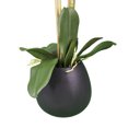 thumbnail image 5 of LCG Florals Artificial Plant, White Orchid, 2.67 ft, White Embossed Ceramic Pot, 5 of 5