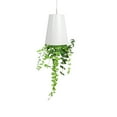 thumbnail image 1 of Maceta de Maceta Colgando suspensión de Interiores Macetas Planta Potencial, 1 of 3