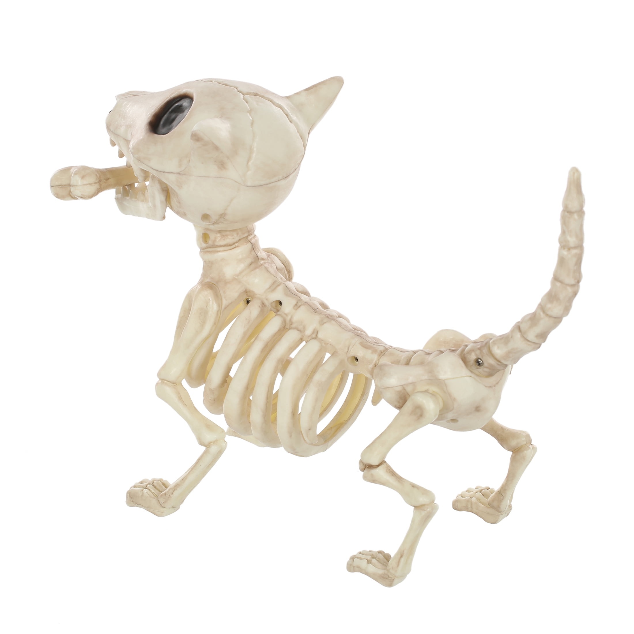 Way To Celebrate 9" Faux Skeleton Dog Decoration photo 6
