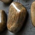 thumbnail image 3 of Uttermost Pebbles Contemporary Wood Wall Decor in Walnut (Set of 9), 3 of 4