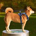 thumbnail image 4 of Dog Harness No Pull Breathable Reflective Pet Harness Vest For Small Large Dog Outdoor walking Training  Dogs Accessories, 4 of 6