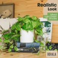 thumbnail image 3 of Planta Pothos de seda artificial ROVALA para decoración del hogar e interiores, 3 of 8