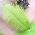 thumbnail image 2 of 50 Colorful Ostrich Feathers, Big Feathers, Wedding Background Wall Decoration, Internet Red Wall, White Pink Feathers, Flower Arrangement 15-20Cm V office supplies, 2 of 2