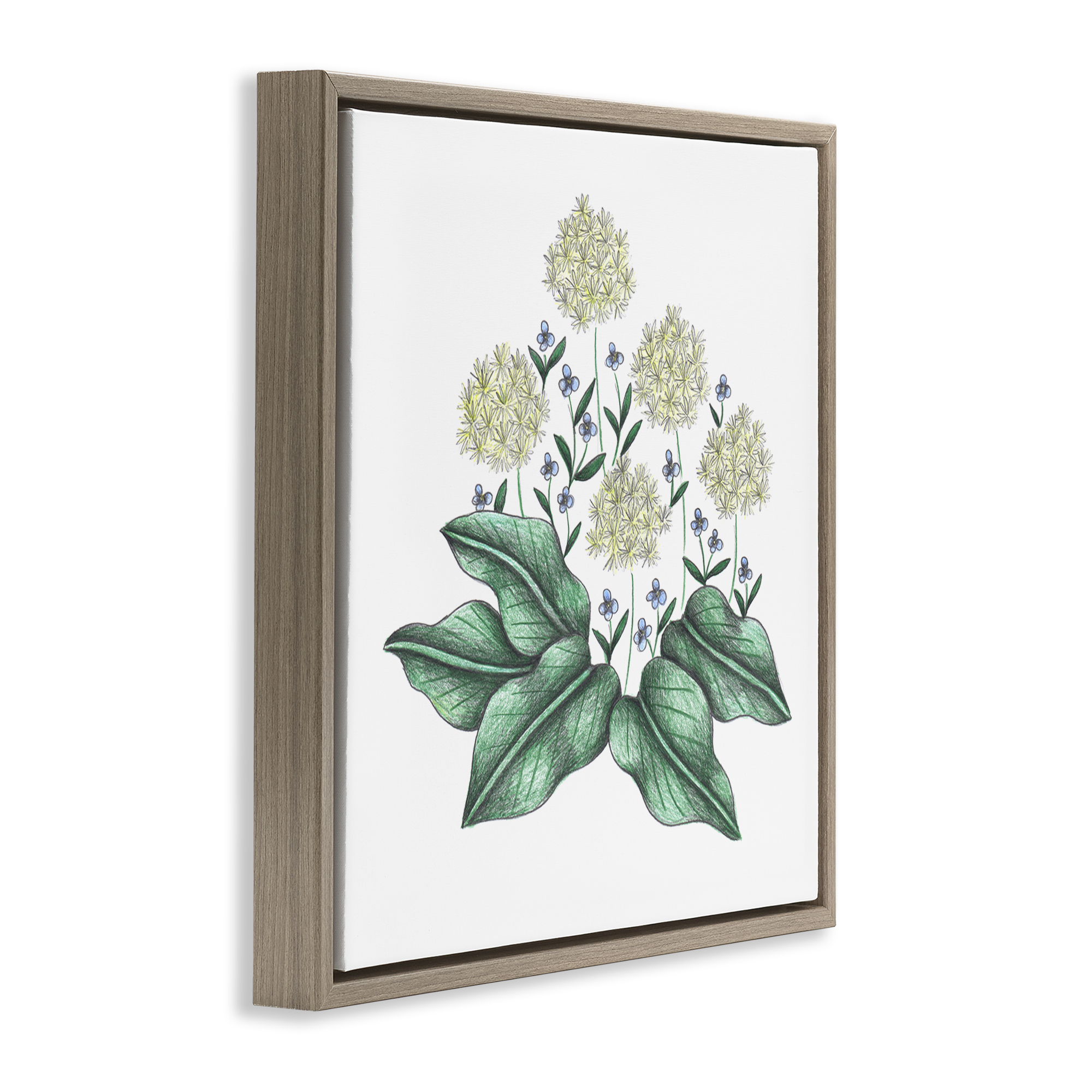 Hello Wildflower Vintage Sketch Brown Framed Floater Canvas Wall Art, design by Cecilia Battaini