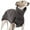 Black, variant on Summercome Fleece Dog Apparel, Winter Warm Dog Coat Doggie Turtleneck Cozy Jacket, Soft Cotton Shirt Vest Stylish Pet Outfits for Small Medium Large Dogs (Black, 5X Large)