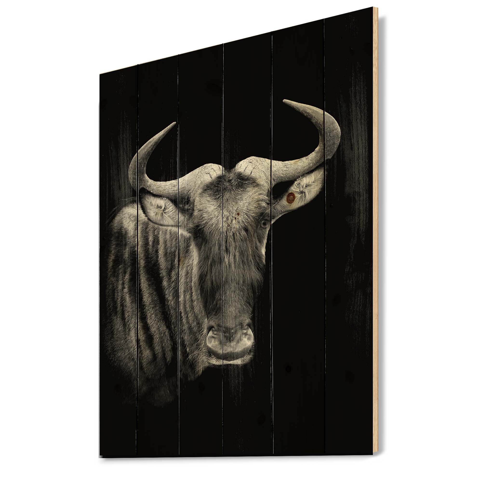 Designart 'Black and White Portrait Of Wildebeest' Farmhouse Print on Natural Pine Wood