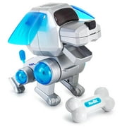 Poo-Chi: Silver With Blue Ears