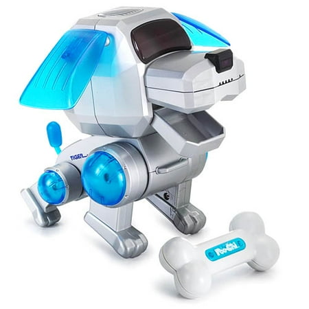 Poo-Chi: Silver With Blue Ears
