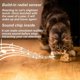 thumbnail image 4 of I played for Cats with the shape of a Mouse THAT Moves automatically and with realistic Sound (coffee ears), 4 of 5