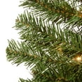thumbnail image 2 of National Tree Company 6 ft. Montclair Spruce Entrance Tree with Clear Lights, 2 of 3