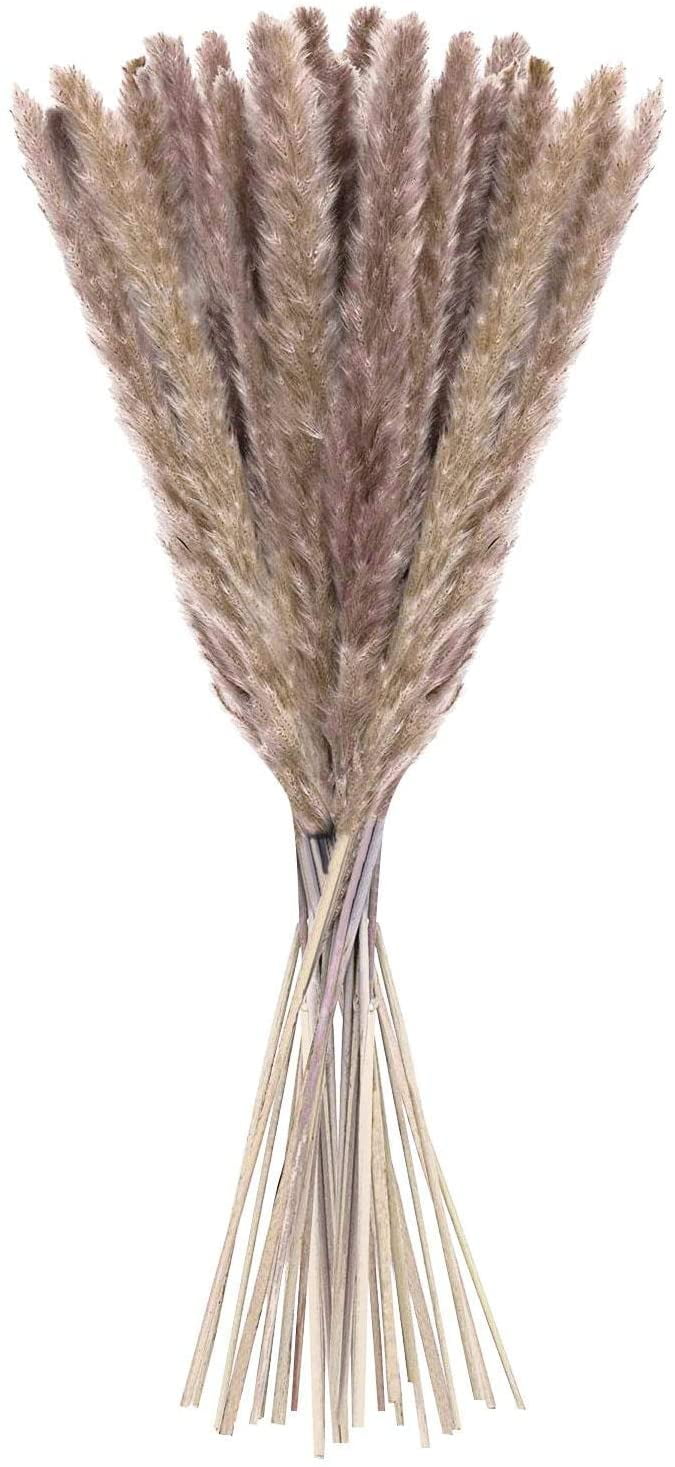 20 pcs Pampas Grass, 60cm Natural Pampas Flower Dried Flower Bouquet for Vases, Boho Decoration Bedroom Home Living Room, Wedding Photographing Table Decoration, Natural Pampas Grass Reeds