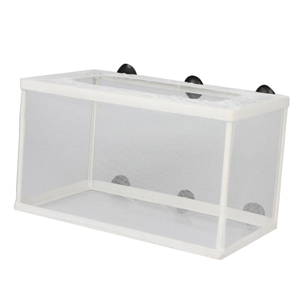 aquarium fish breeding net Aquarium Breeding Net Fish Breeder Box for Aggressive Fishes Guppy, Size: 25cmx15cmx15cm, White