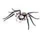 thumbnail image 5 of Figura de araña Hugo Juguete educativo Decoración del hogar 11,6 cm x 8,5 cm x 2 cm, 5 of 10