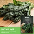 thumbnail image 5 of 3 Packs Lacinato Kale Seeds - Non-GMO Heirloom Biennial Full Sun Vegetables, 5 of 9