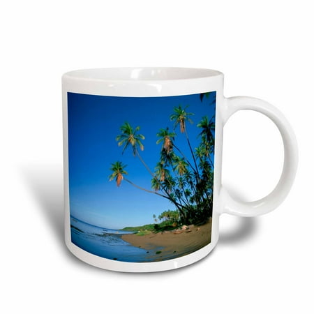 - 3dRose Kapuaiwa Coconut Grove, Molokai, Hawaii, USA - US12 DPB0335 - Douglas Peebles, Ceramic Mug, 11-ounce