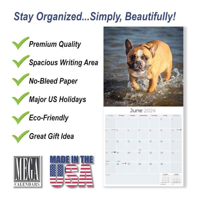2023 2024 French Bulldog Calendar - Dog Breed Monthly Wall Calendar - 12 x  24 Open - Thick No-Bleed Paper - Giftable - Academic Teacher's Planner  Calendar Organizing & Planning - Made in USA - Walmart.com