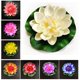 thumbnail image 1 of 10Pcs Artificial Floating Lotus Mixed Color Lifelike Fake Water Lily Lotus-Leaf Flower Micro Landscape Floating Pool Decoration10pcs mixed colorUnited Kingdom He Qiyong unisex, 1 of 1